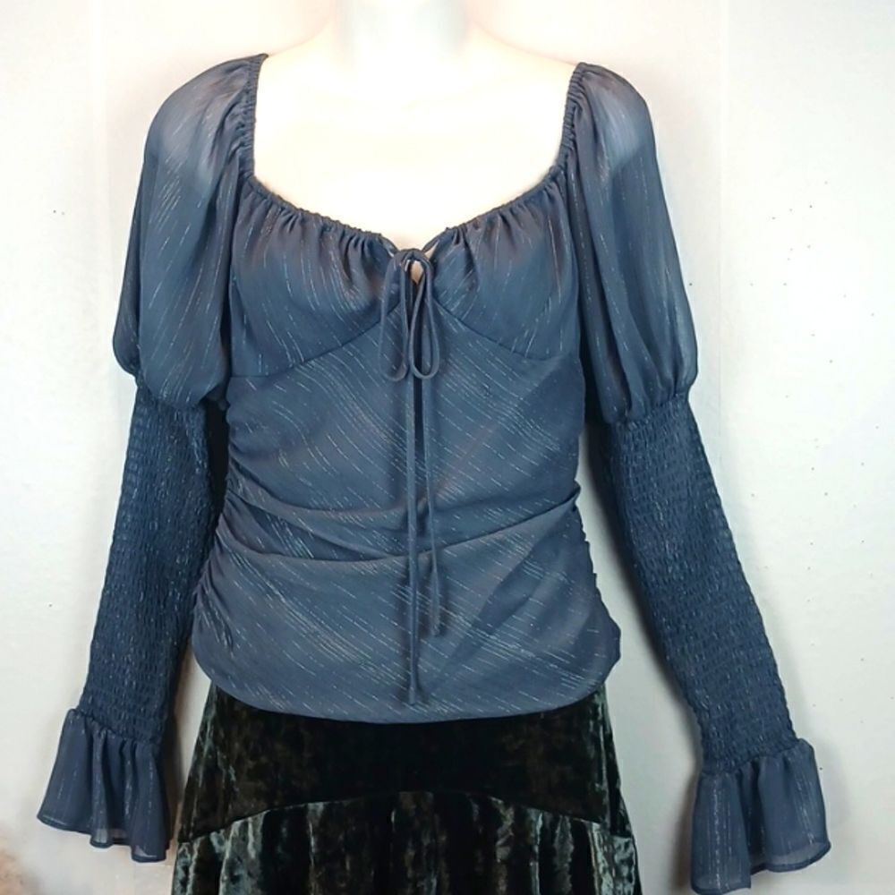 WAYF Whimsigoth Slate blue chiffon ruched long puff sleeve top size small fairy